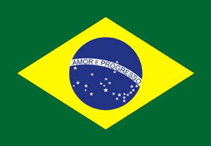 Our version of the Brazilian flag: Love and Progress